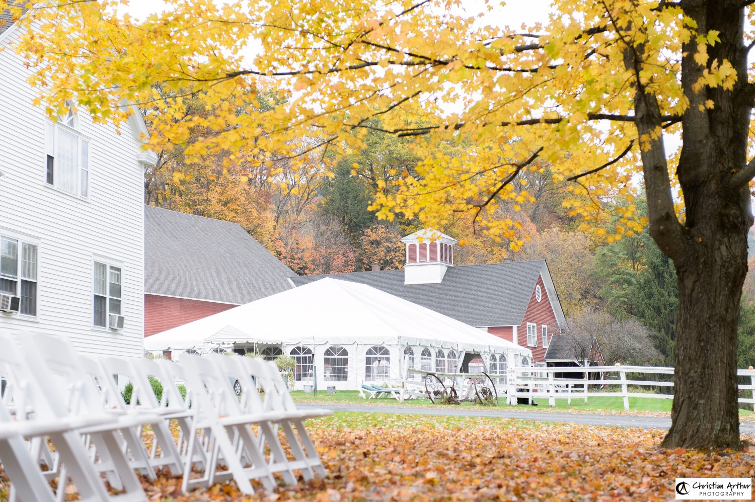 Yellow autumn leaves hang over white chairs and a white tent set up for a Vermont wedding, with a red barn in the background.
